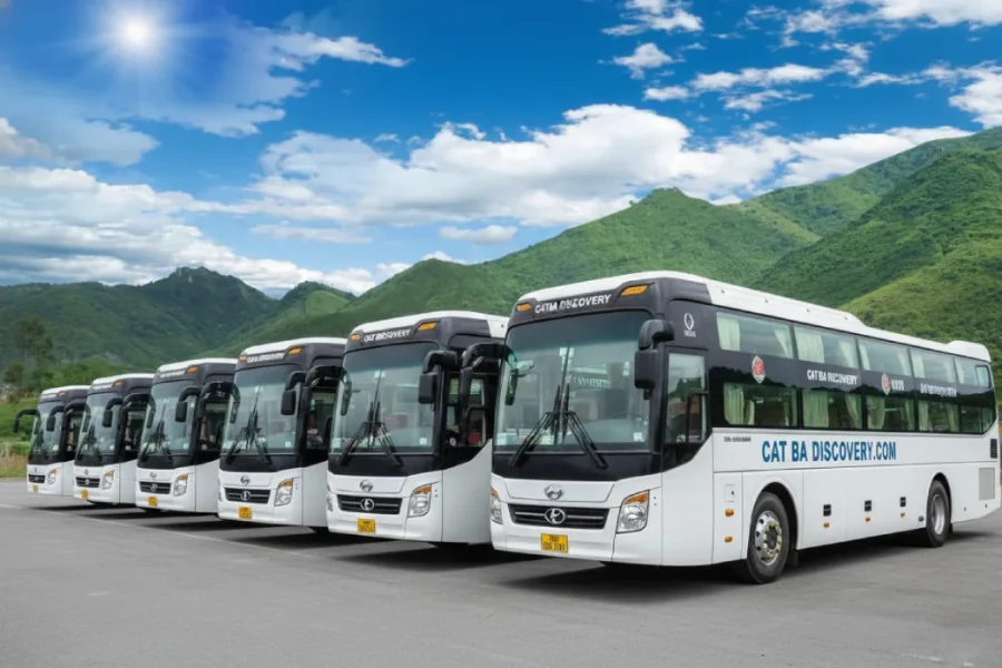Luxury tourist bus for Ninh Binh Cat Ba Hanoi loop tour