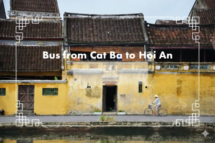 Bus from cat ba to hoi an by cat ba discovery