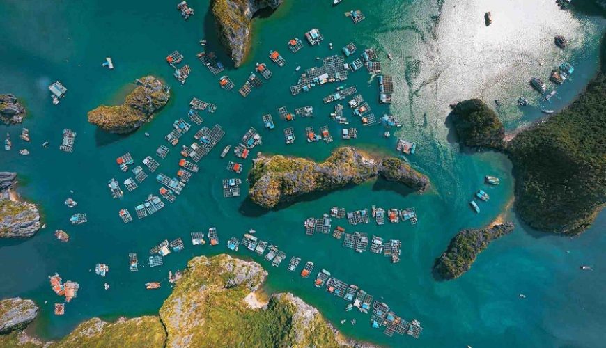 Come to Cat Ba to experience the peaceful life of the ancient Cai Beo fishing village