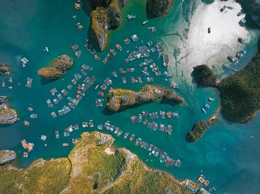 Come to Cat Ba to experience the peaceful life of the ancient Cai Beo fishing village