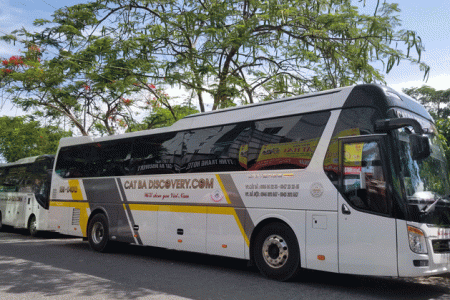 Công ty du lịch lữ hành Cát Bà Discovery