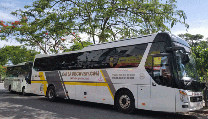 Công ty du lịch lữ hành Cát Bà Discovery