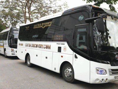 Cat Ba Discovery Travel Company