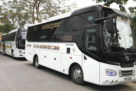 Cat Ba Discovery Travel Company
