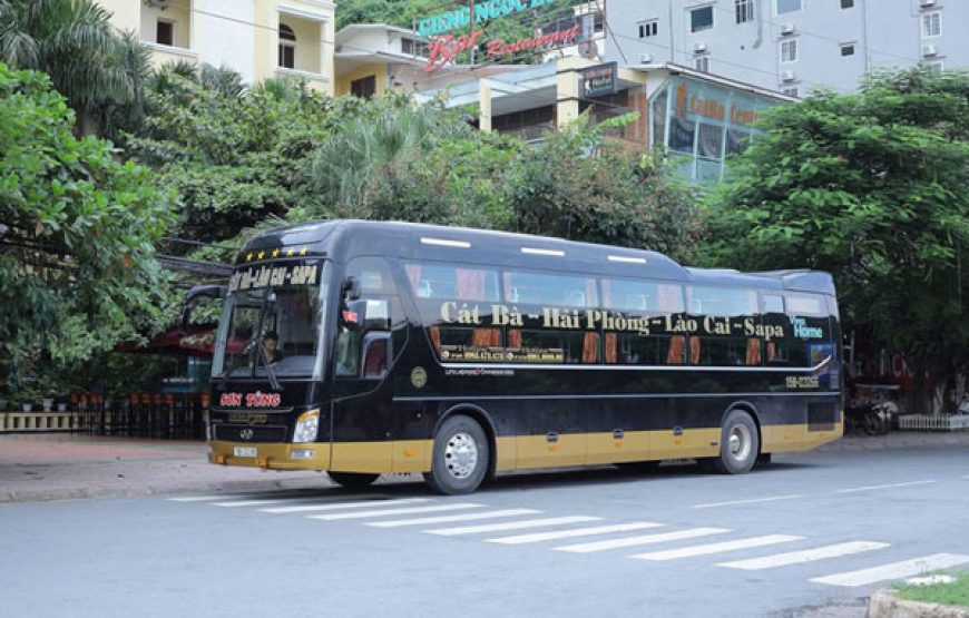 Sapa to Cat Ba Sleeper Bus | Direct Service & Schedule 2026 (No Transfer)
