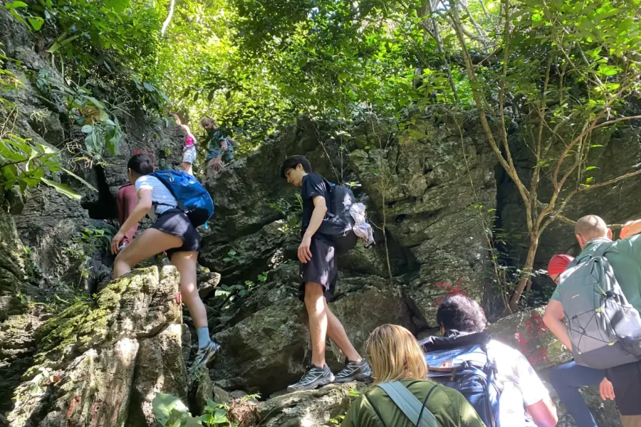 Hikers trekking through the ancient Kim Giao Forest and Frog Pond (Ao Ech) in Cat Ba Biosphere Reserve.