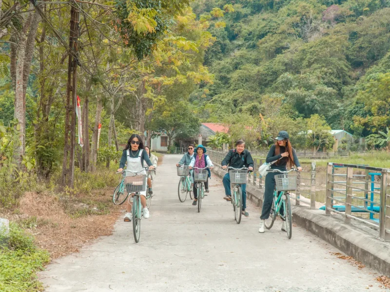 Tourists cycling through the green rice fields and jungle valley of Viet Hai Ancient Village - Lan Ha Bay Full Day tour